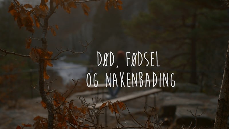 Død, fødsel og nakenbading – Kortfilmfestivalen