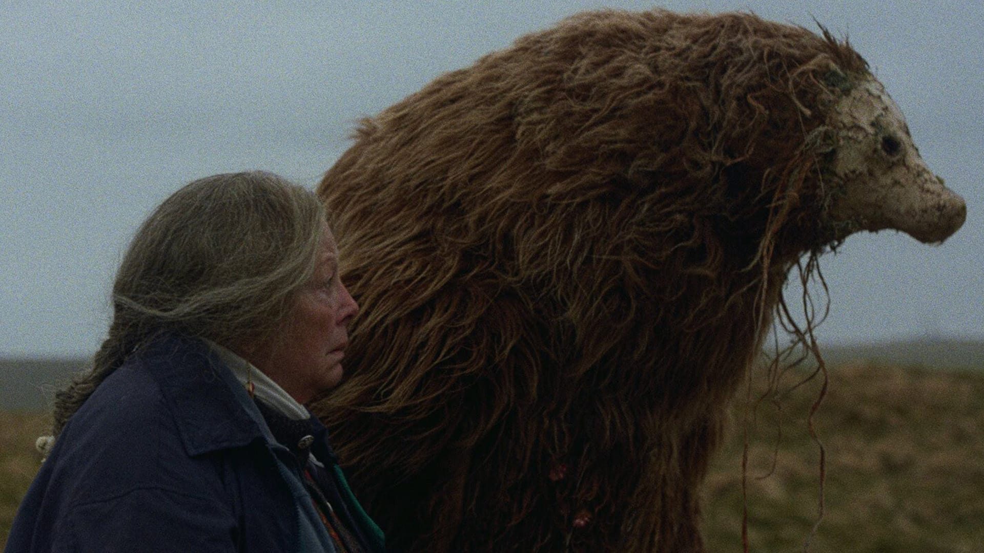 3-A Bear Remembers crop