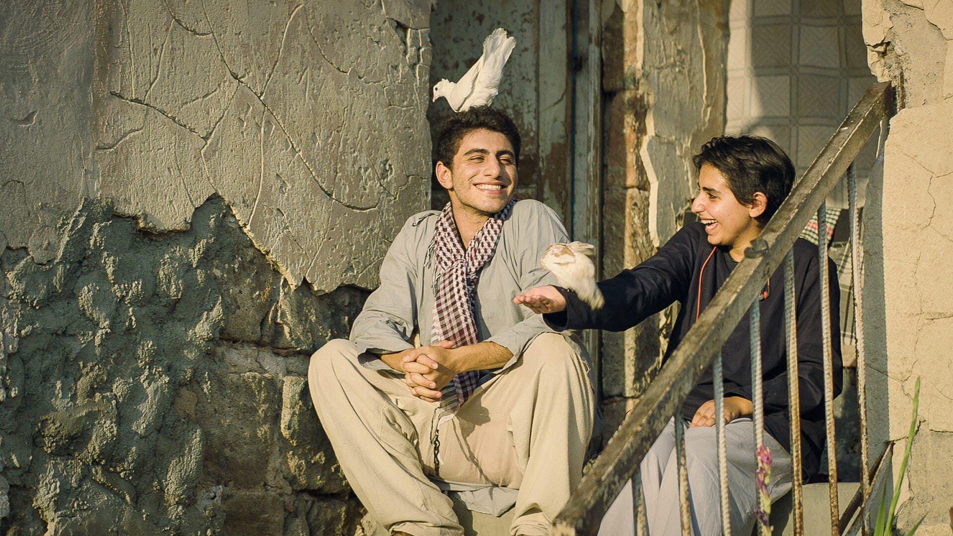 4-JUST LIKE A BOY crop