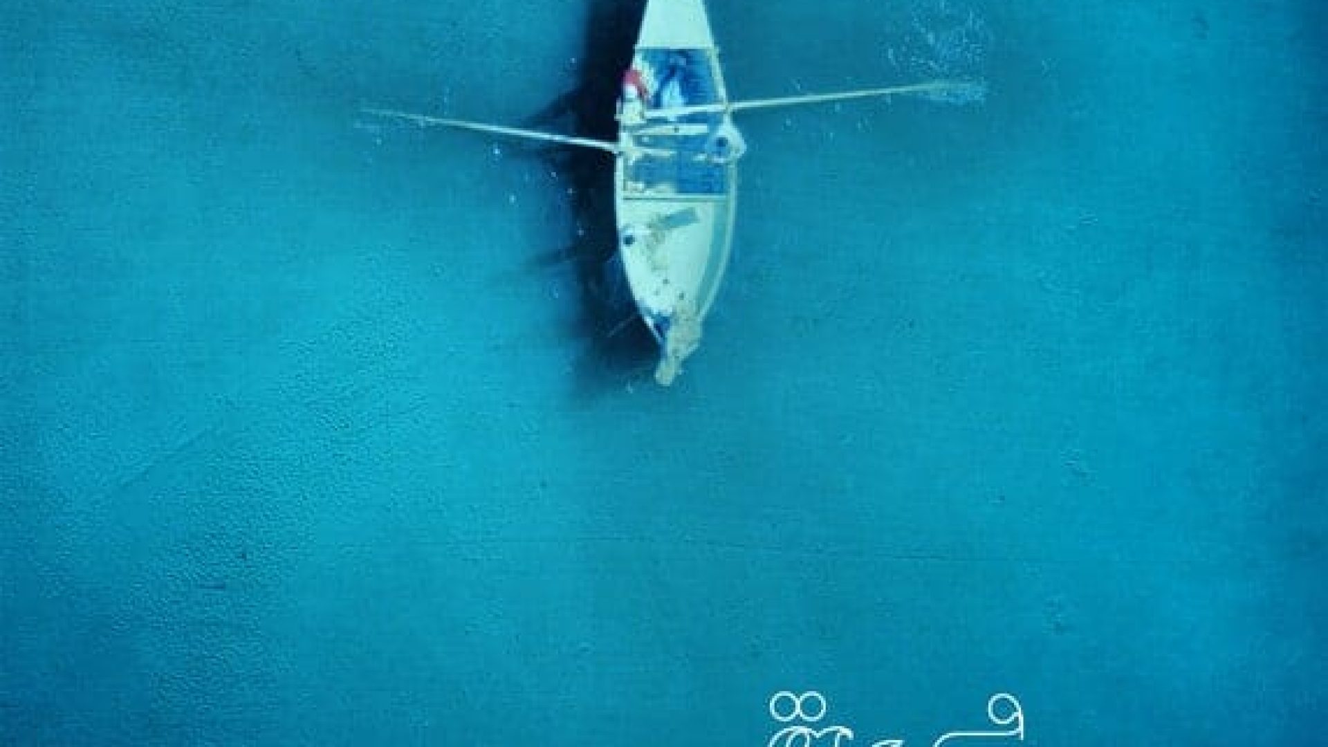 IKD1 - 4. Drowning Fish