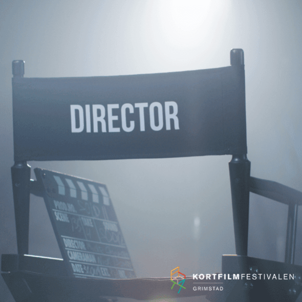 MV1 - 1. Making The Flamingo - regissør