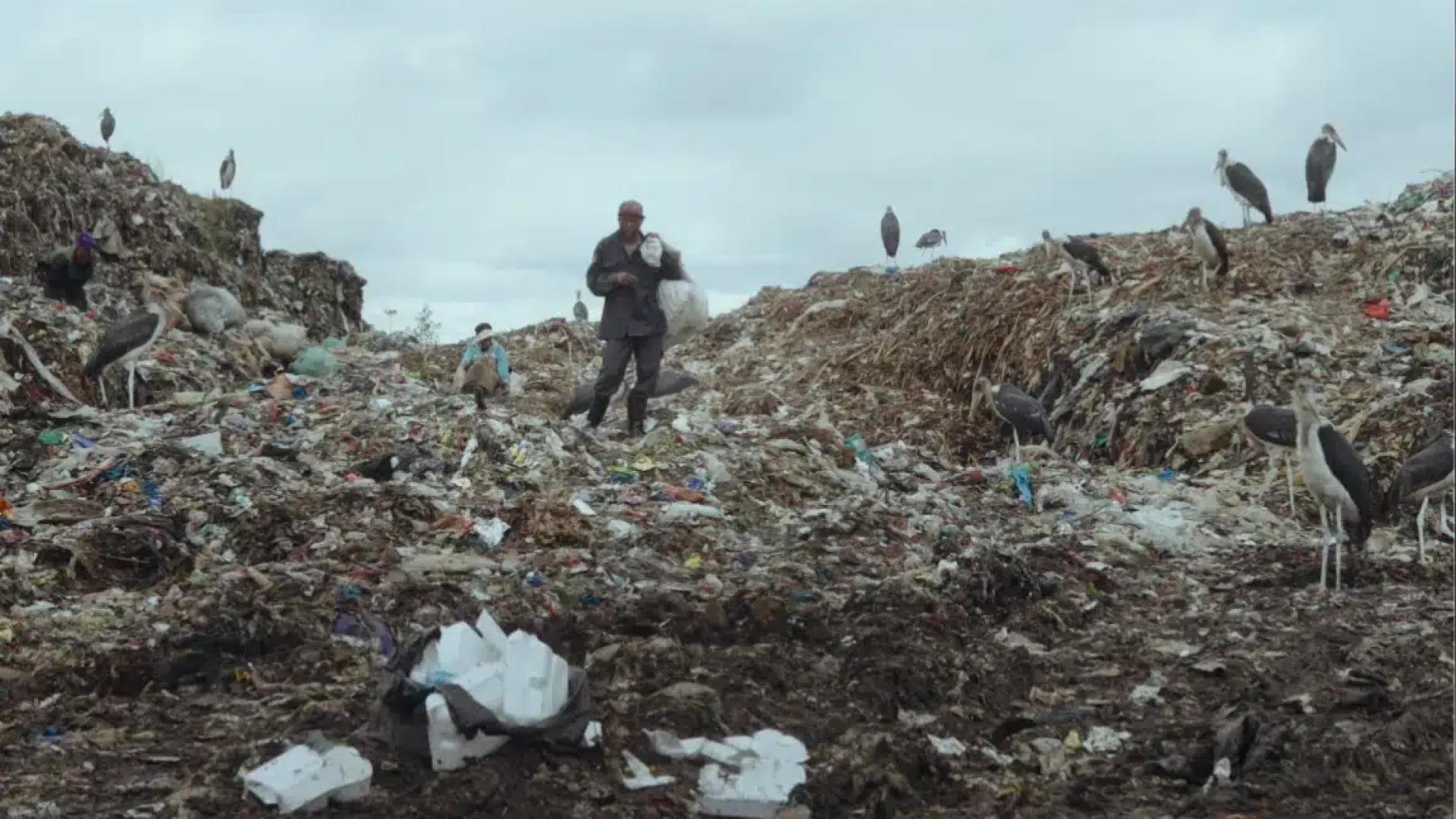 SP Durban TERRA MATER - MOTHER LAND