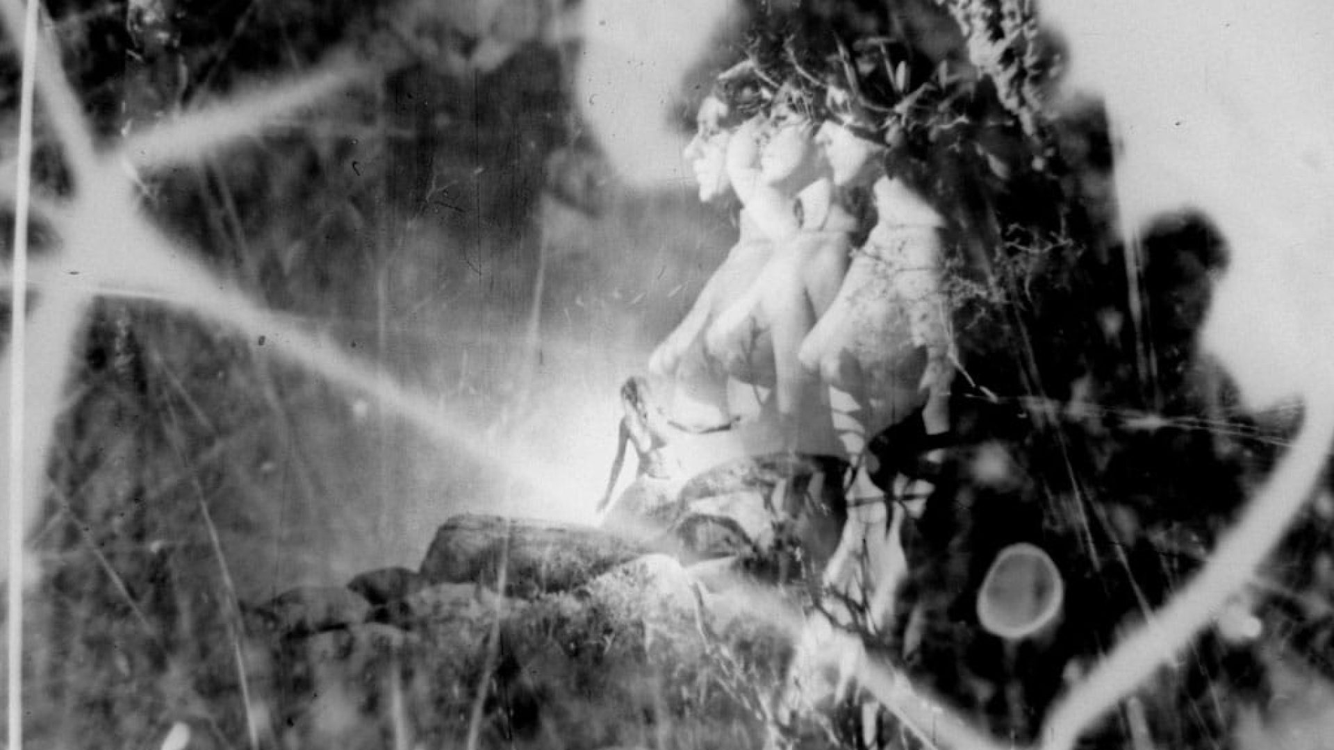 The Exquisite Corpus